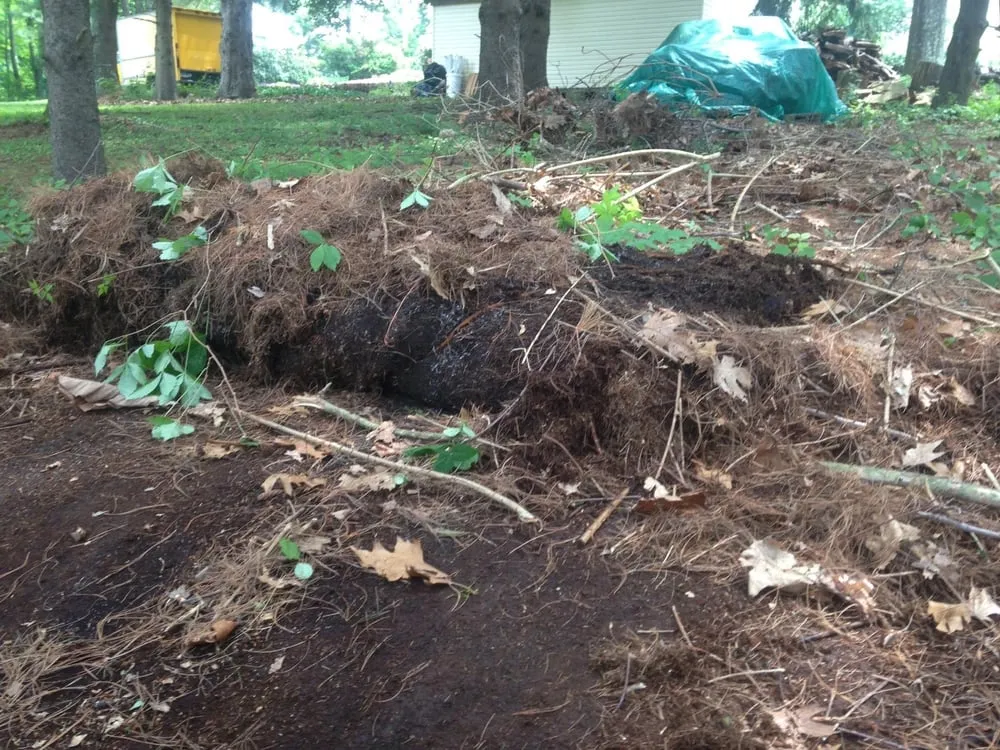 Trusted landscape design in Middletown, CT - Wildwood Lawn Care