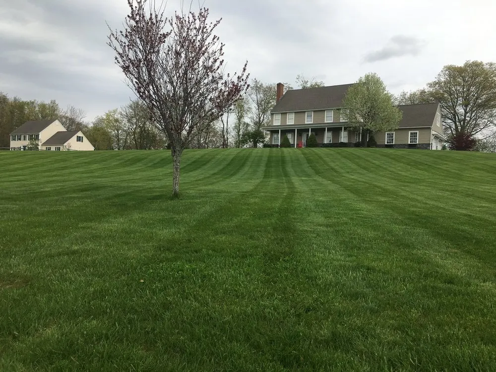 Custom lawn mowing service experts serving Middletown, CT - Wildwood Lawn Care