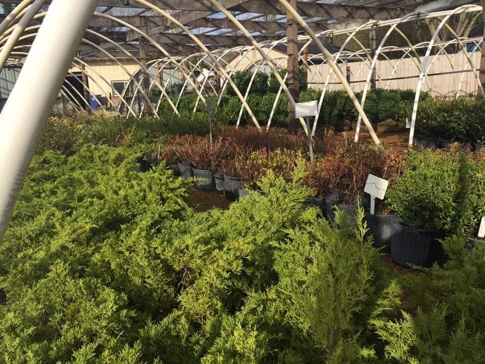 Top-rated residential landscaping in Wildwood, MO - Wildwood Nursery