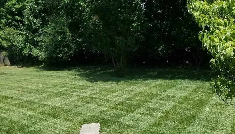 Top-rated lawn care service near you in Mt. Juliet, TN by Wildwood Outdoors