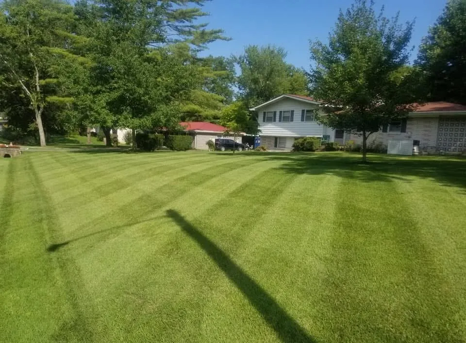 Trusted lawn care service in Mt. Juliet, TN - Wildwood Outdoors