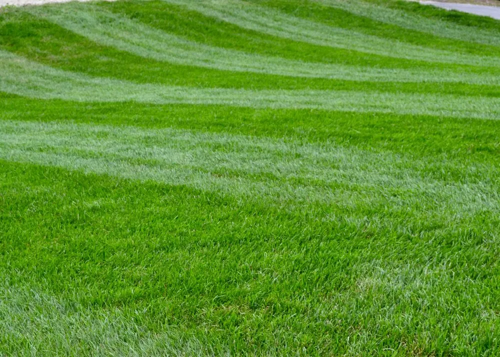 Custom outdoor landscaping experts serving Windham, ME - WildWood Properties