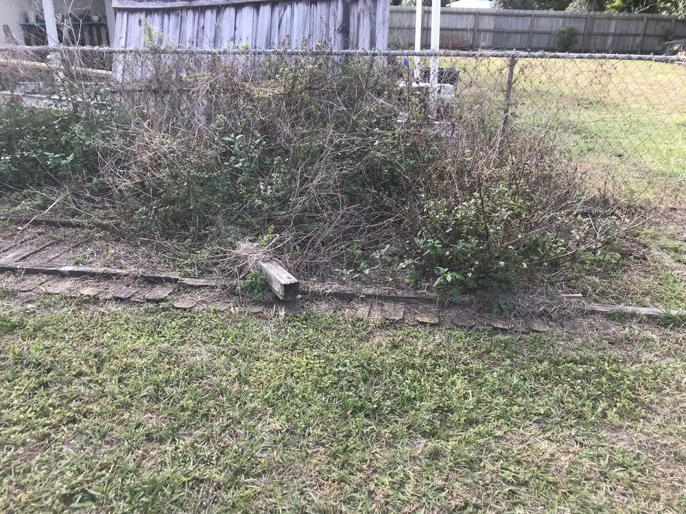 Expert outdoor landscaping with custom design in Orlando, FL by Wiles Outdoor Services