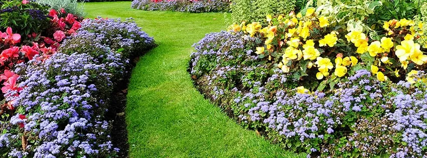Custom lawn care service in Franklin, OH by Wiley Landscaping & Lawn Care