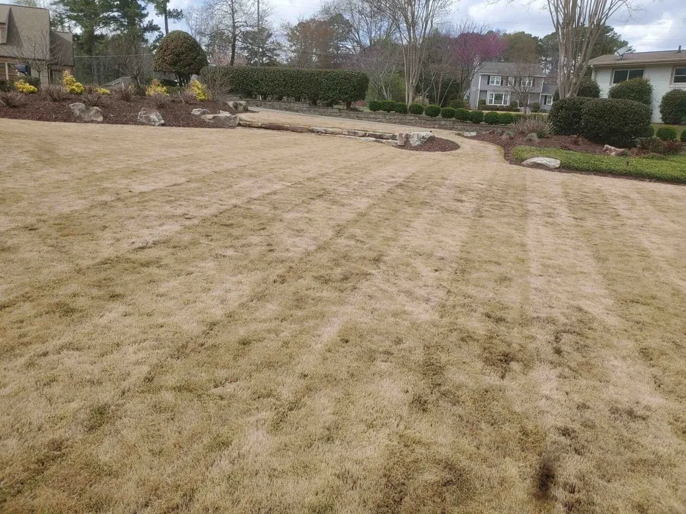 Trusted yard cleanup service in Adairsville, GA by Wileys Top Notch Lawn Care