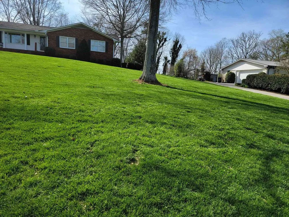 Custom residential landscaping experts serving Adairsville, GA - Wileys Top Notch Lawn Care