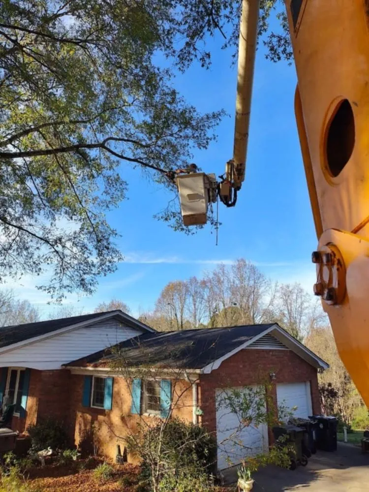 Affordable yard cleanup service for outdoor upgrades across Lexington, NC - Wiley's Tree Service & Landscaping