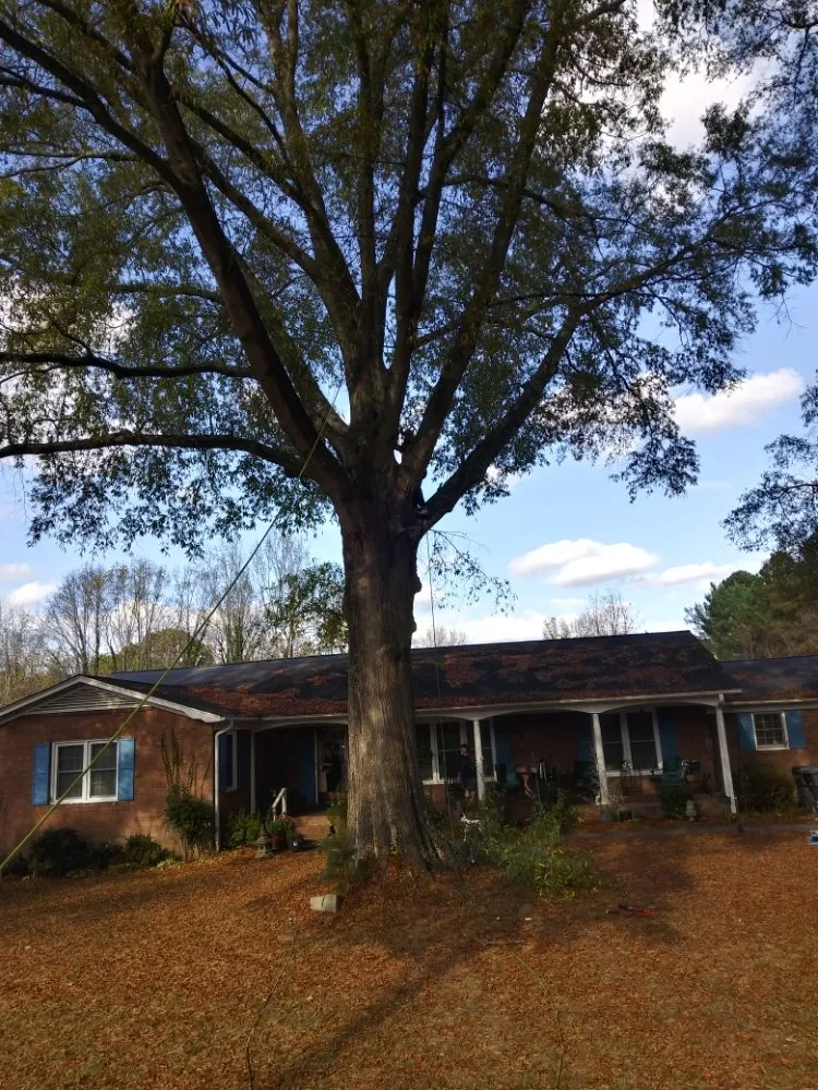 Top-rated landscape installation experts serving Lexington, NC - Wiley's Tree Service & Landscaping