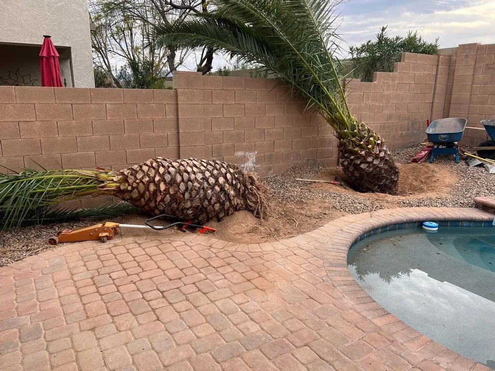 Trusted landscape design experts serving El Mirage, AZ - Wilfer Natural Landscape