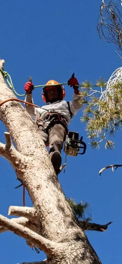 Trusted landscape installation experts serving El Mirage, AZ - Wilfer Natural Landscape