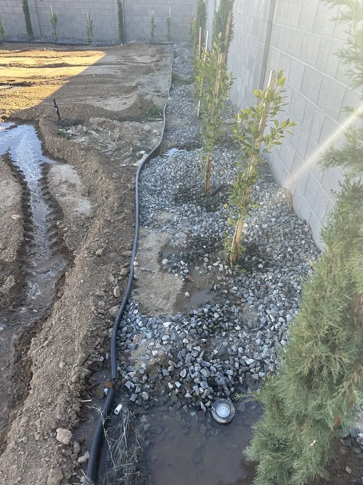 Custom outdoor landscaping in El Mirage, AZ by Wilfer Natural Landscape