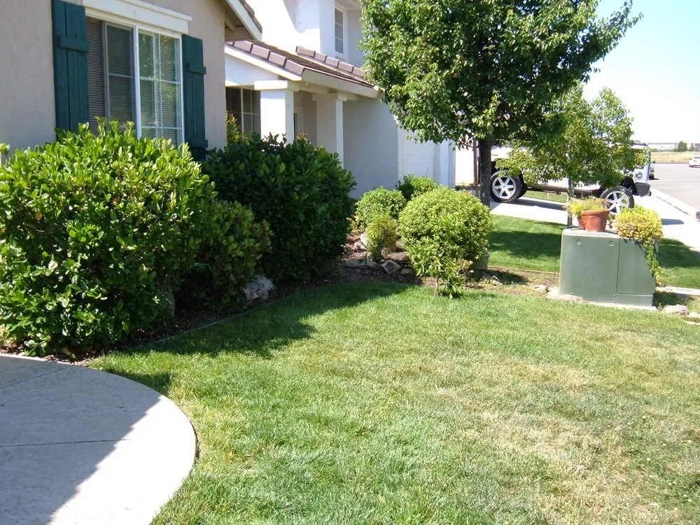 Trusted lawn mowing service experts serving Bolivar, MO - Wilfongs Lawn Care