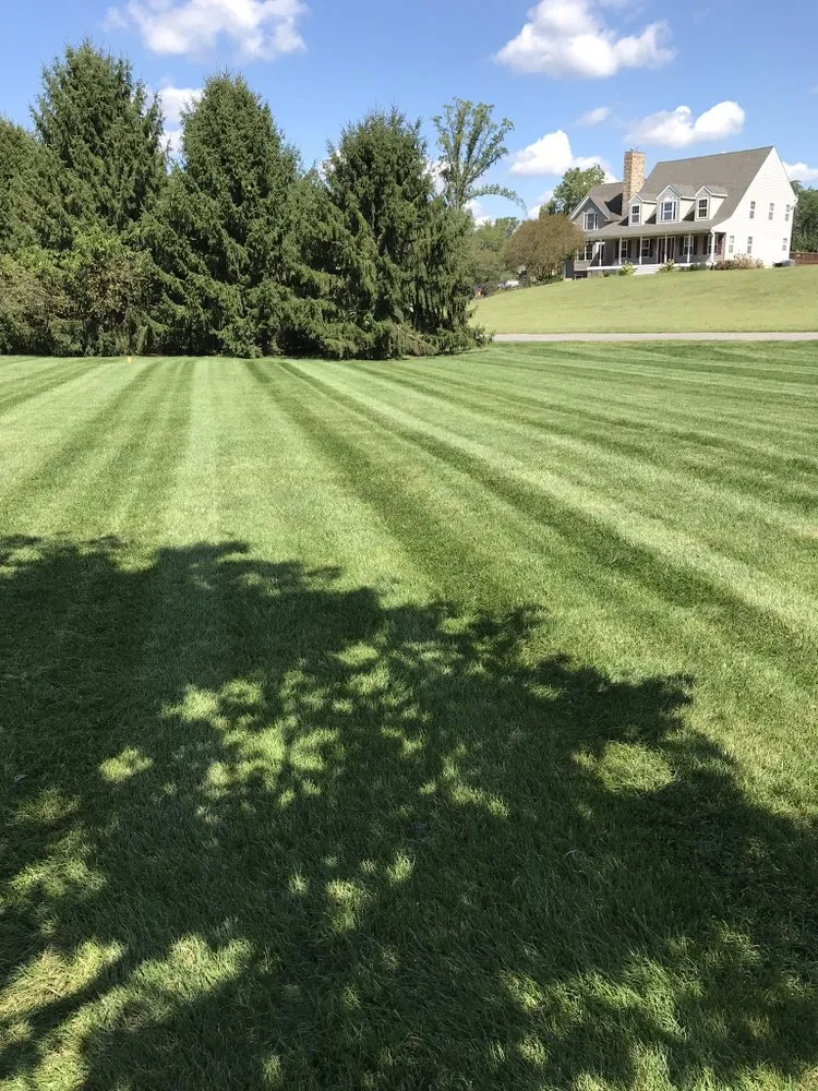 Expert landscape installation near you in Davidsonville, MD by Wilfredo Hardscaping