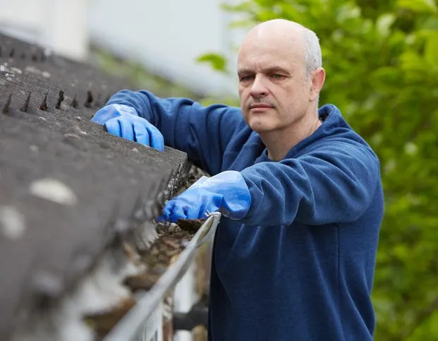 Professional landscape design in Germantown, MD - Wilfredo's Landscaping Services