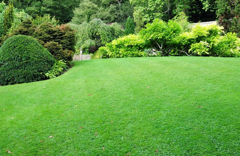 Expert garden landscaping for outdoor upgrades across Germantown, MD - Wilfredo's Landscaping Services