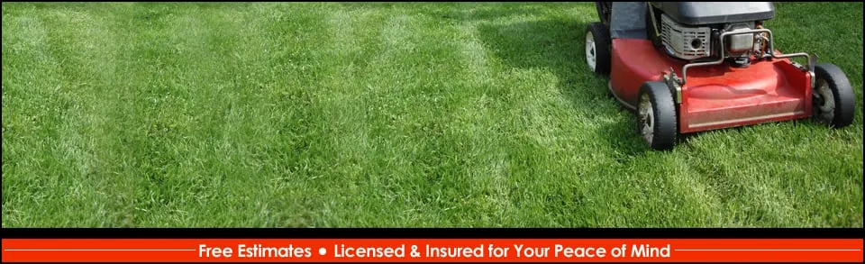 Trusted lawn mowing service with custom design in Germantown, MD by Wilfredo's Landscaping Services