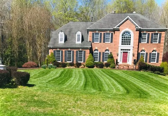 Wilfredo's Landscaping Services