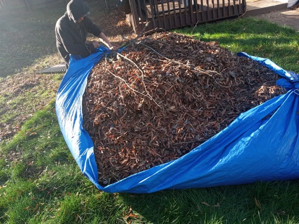 Expert lawn care service in Smyrna, TN by Wilgros Landscaping