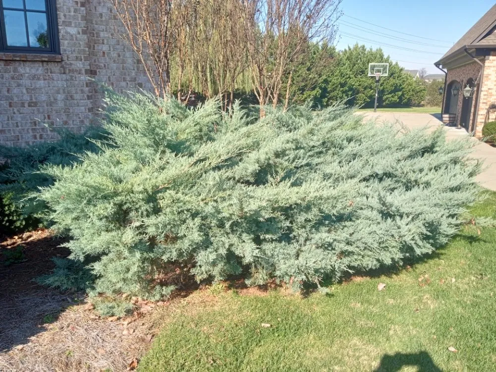 Reliable outdoor landscaping experts serving Smyrna, TN - Wilgros Landscaping