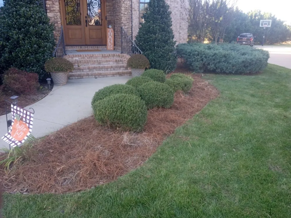 Trusted landscaping services with custom design across Smyrna, TN - Wilgros Landscaping