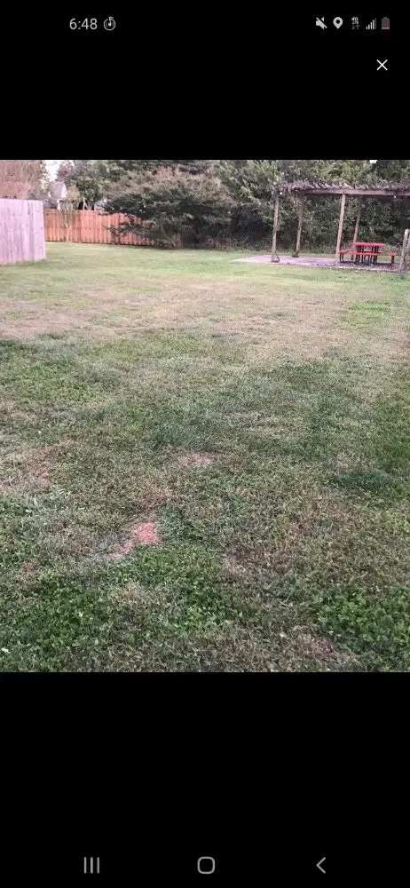 Reliable landscaping services in Smyrna, TN by Wilgros Landscaping