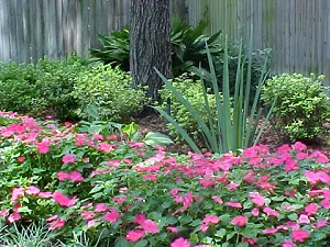 Top-rated yard maintenance for outdoor upgrades in Tyler, TX by Wilhite Landscape