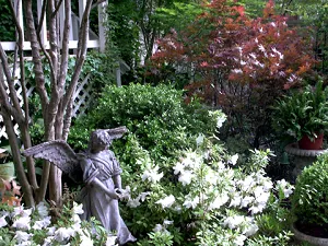 Top-rated lawn care service in Tyler, TX - Wilhite Landscape