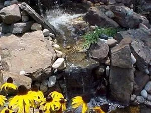 Expert yard cleanup service for beautiful yards in Tyler, TX by Wilhite Landscape