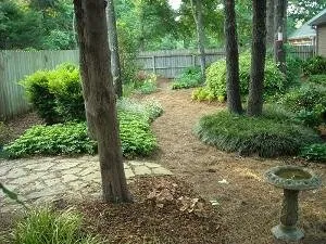 Professional landscaping services for beautiful yards in Tyler, TX by Wilhite Landscape