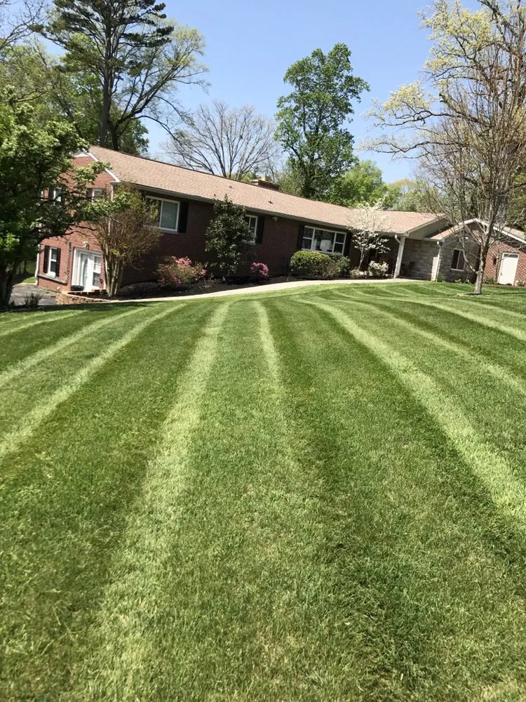 Expert landscaping services in Knoxville, TN by Wilkerson Lawn and Landscaping