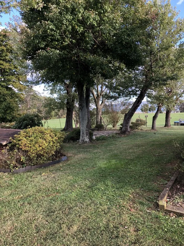 Local yard cleanup service for homes across Knoxville, TN - Wilkerson Lawn and Landscaping