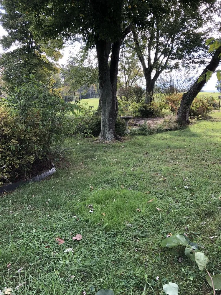 Custom landscape installation experts serving Knoxville, TN - Wilkerson Lawn and Landscaping