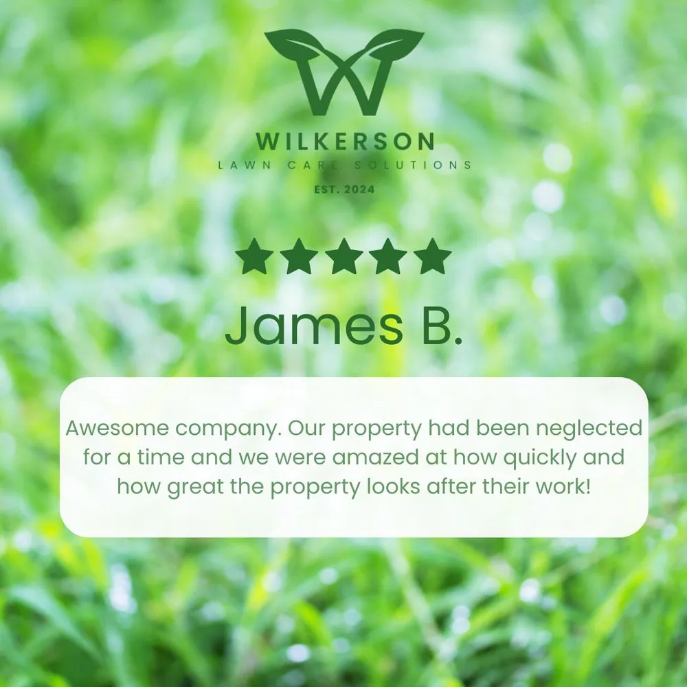 Local outdoor landscaping experts serving Cape Coral, FL - Wilkerson Lawn Care Solutions