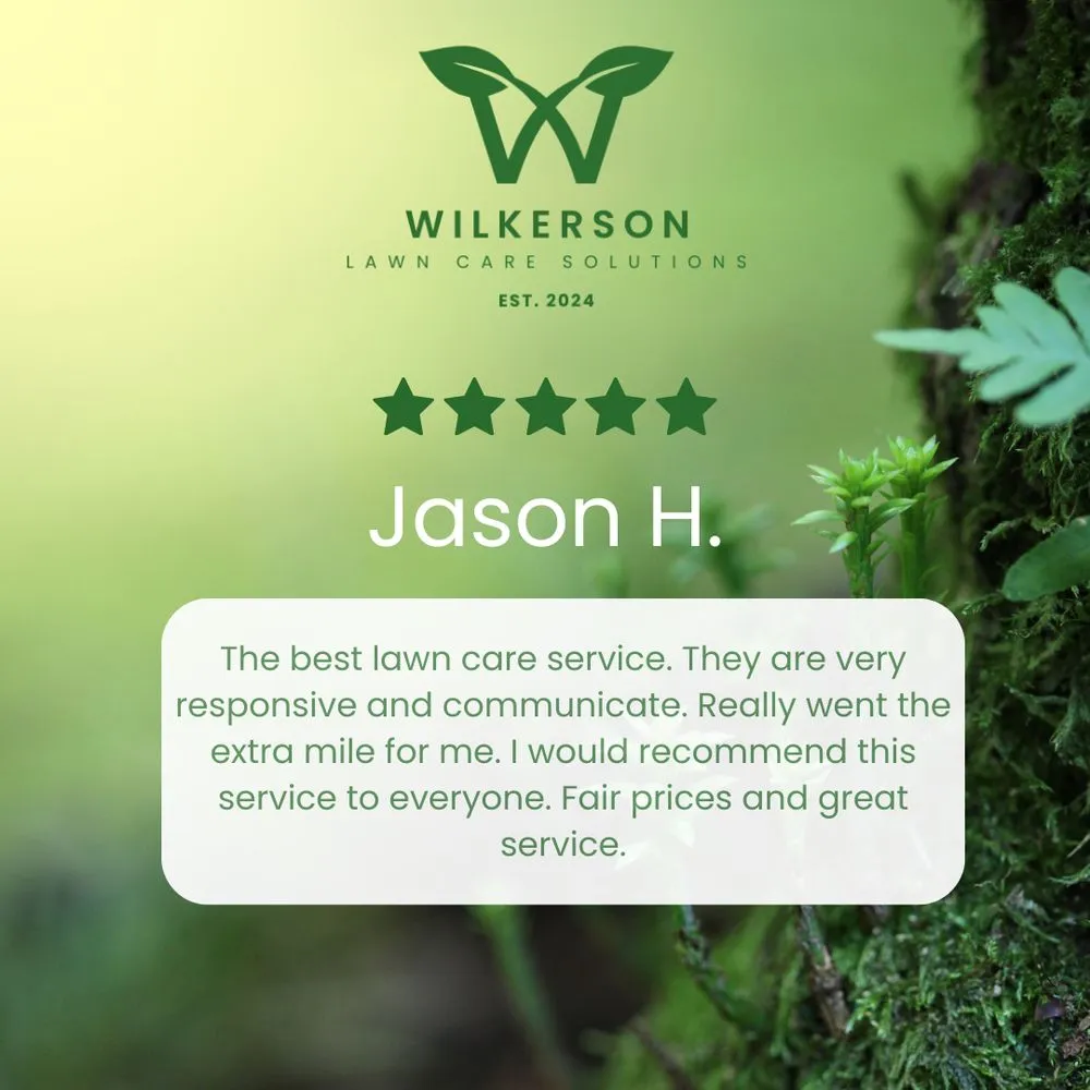 Local landscape design for outdoor upgrades in Cape Coral, FL by Wilkerson Lawn Care Solutions