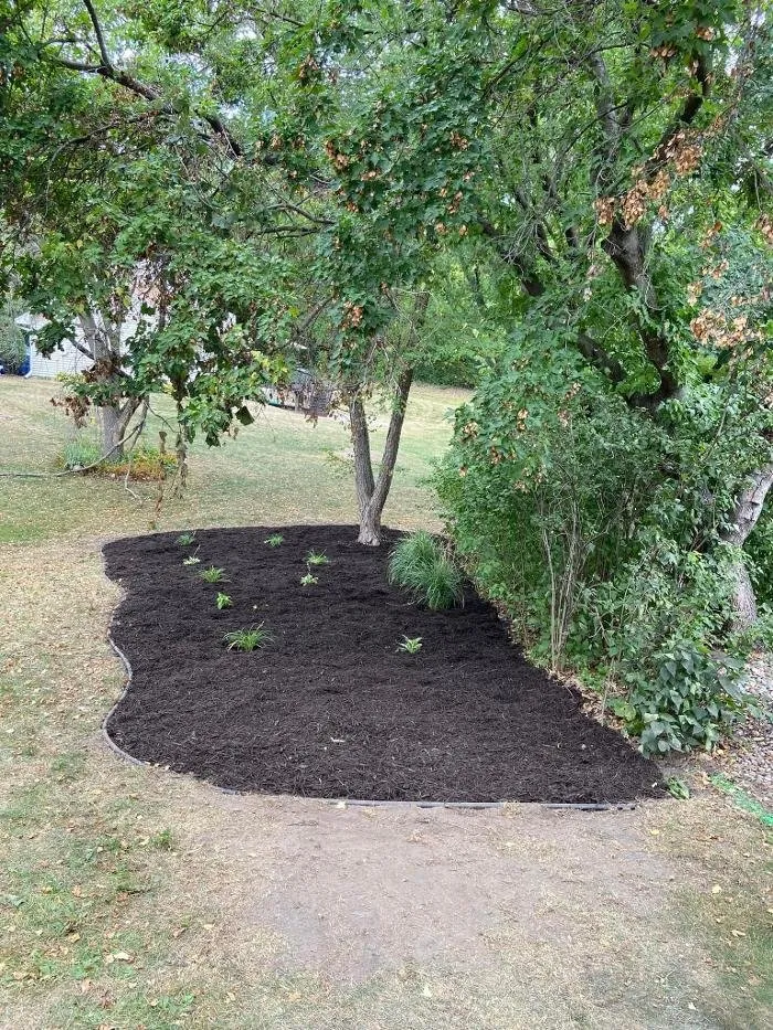 Affordable landscaping services near you across Woodbury, MN - Wilkerson's Landscaping Services