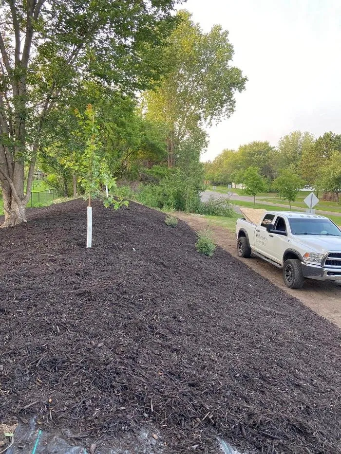Expert landscape design in Woodbury, MN - Wilkerson's Landscaping Services