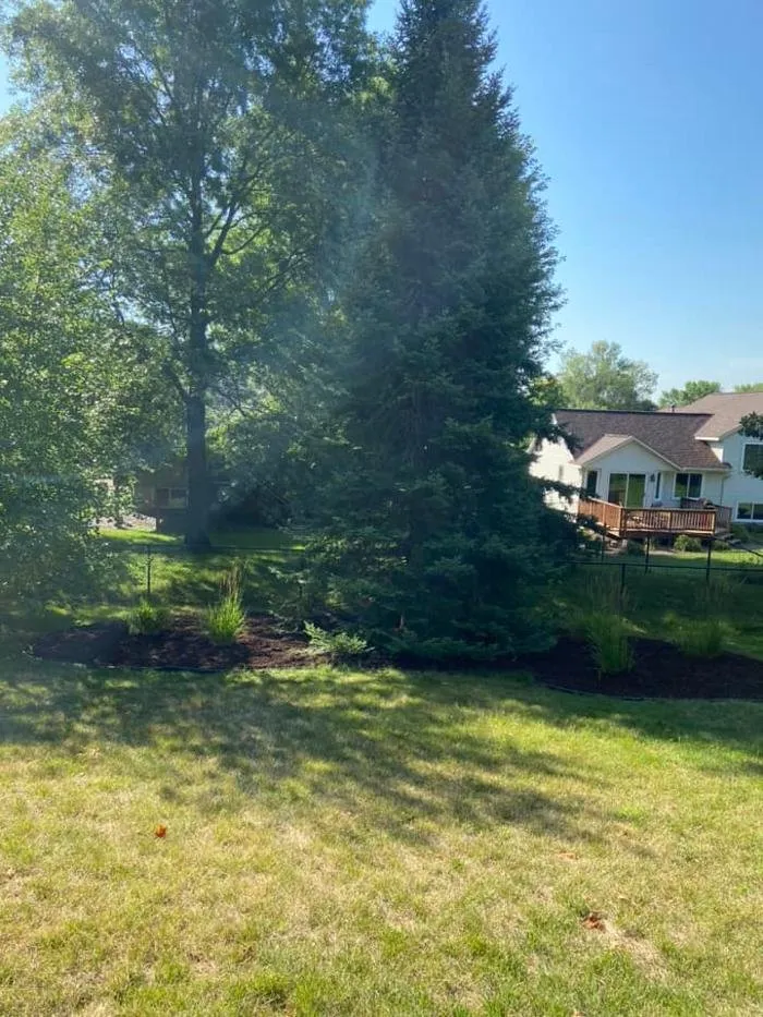 Top-rated yard cleanup service near you in Woodbury, MN by Wilkerson's Landscaping Services