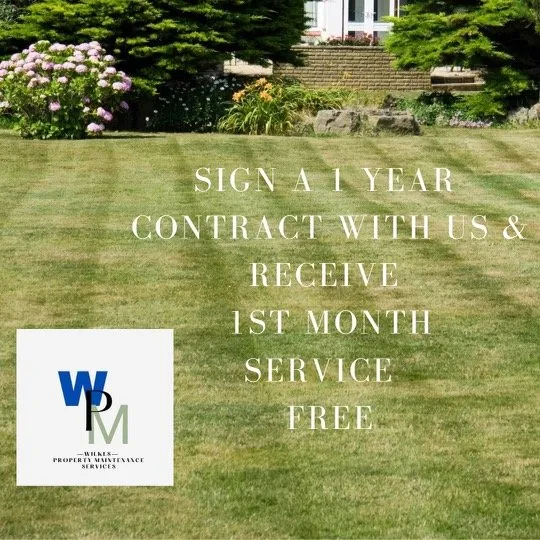 Custom yard cleanup service for residential properties in Seffner, FL by Wilkes Property Maintenance Services