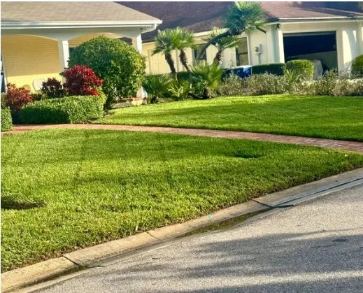 Reliable landscaping services experts serving Seffner, FL - Wilkes Property Maintenance Services