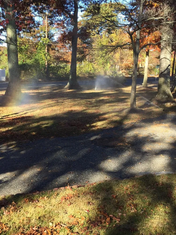 Trusted yard maintenance in Centereach, NY - Wilkie Landscaping