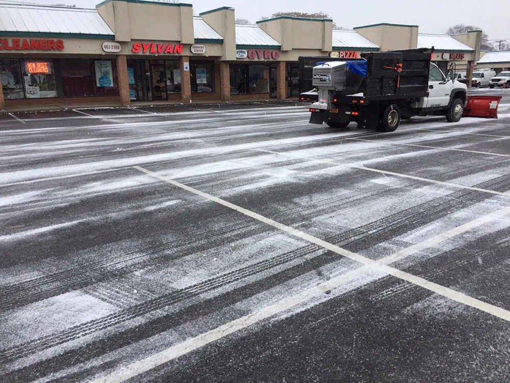 Reliable yard cleanup service experts serving Centereach, NY - Wilkie Landscaping