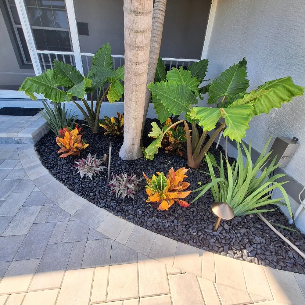 Expert lawn mowing service experts serving North Fort Myers, FL - Wilkinson Landscaping