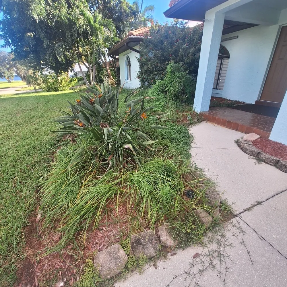 Custom landscape design experts serving North Fort Myers, FL - Wilkinson Landscaping