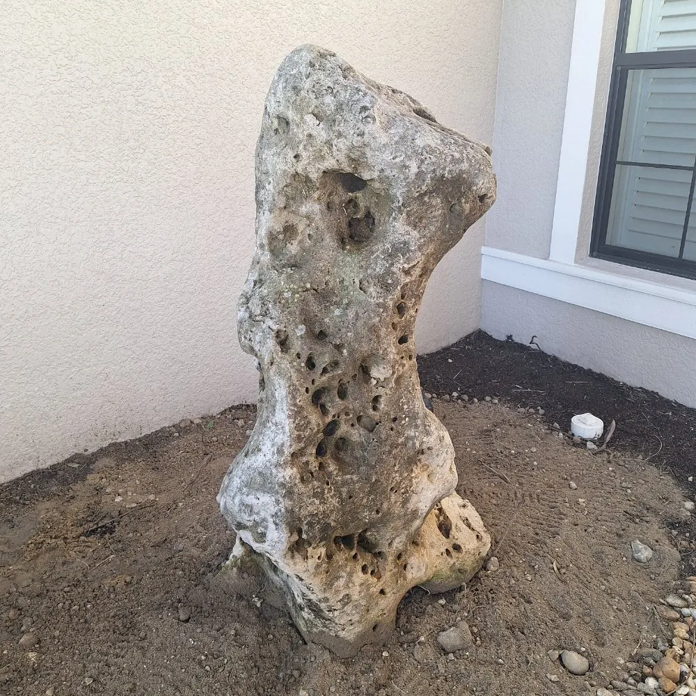 Professional landscaping services for beautiful yards across North Fort Myers, FL - Wilkinson Landscaping