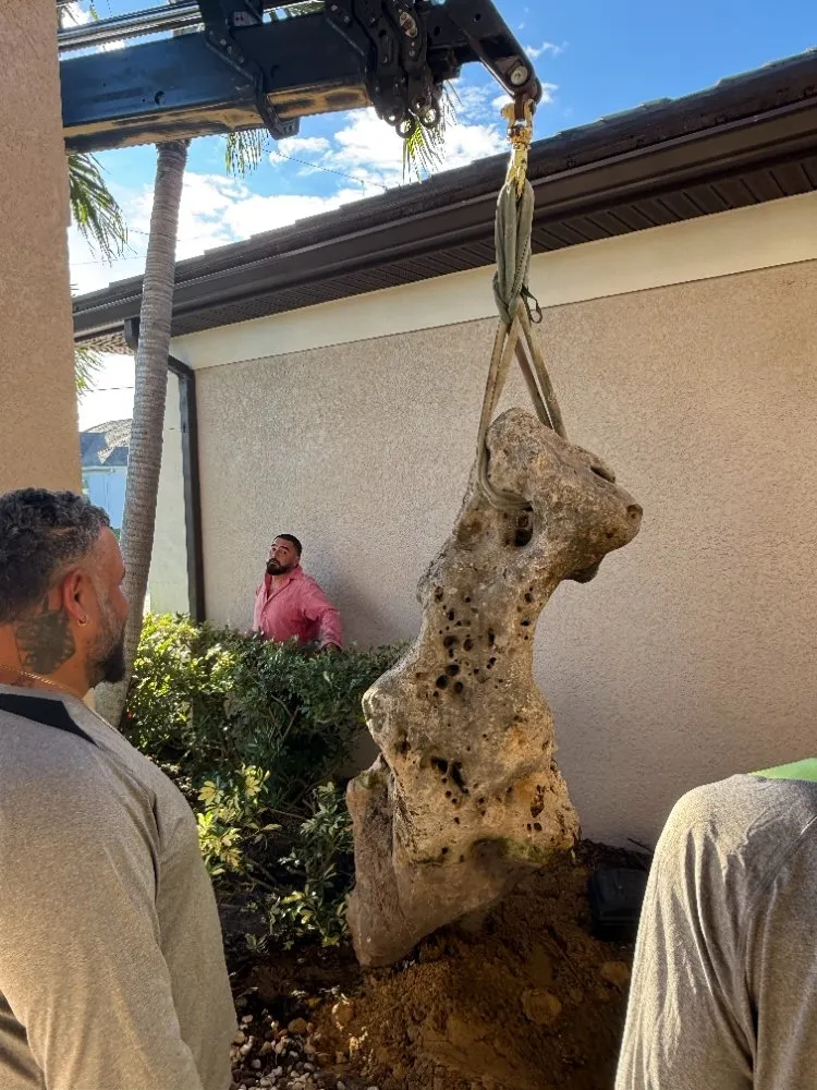 Top-rated residential landscaping experts serving North Fort Myers, FL - Wilkinson Landscaping