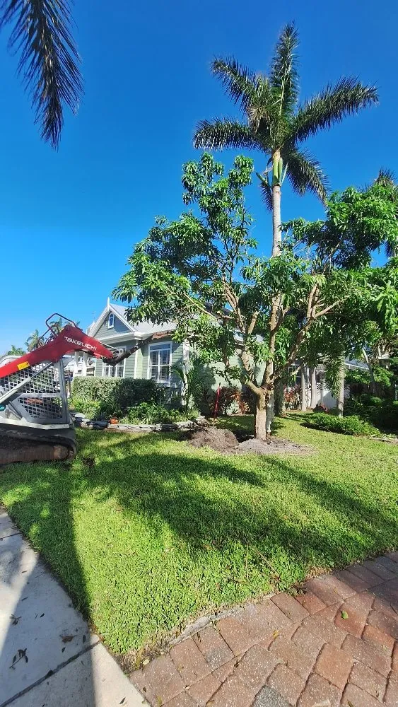 Expert yard maintenance for year-round maintenance across North Fort Myers, FL - Wilkinson Landscaping