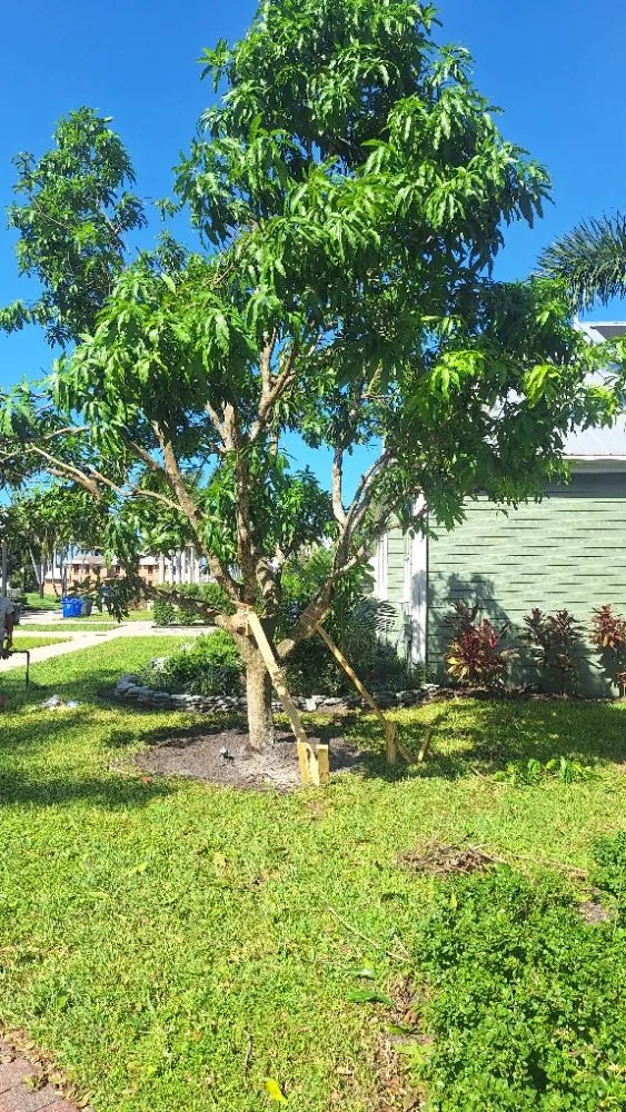 Trusted outdoor landscaping experts serving North Fort Myers, FL - Wilkinson Landscaping