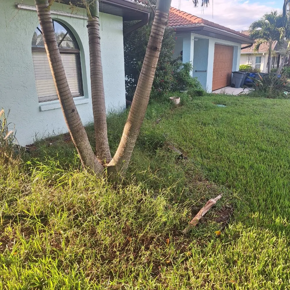 Custom yard maintenance for beautiful yards in North Fort Myers, FL by Wilkinson Landscaping