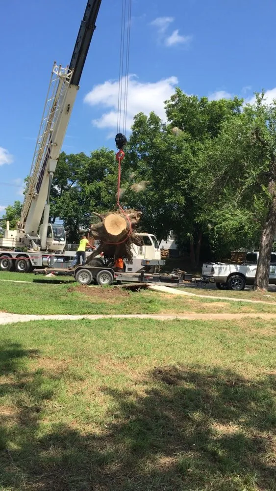 Trusted yard maintenance in Tulsa, OK - Wilkinson Tree Service