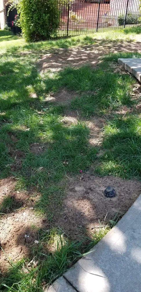 Trusted yard cleanup service for homes across Tulsa, OK - Wilkinson Tree Service